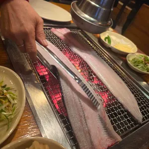 장어사냥 사진