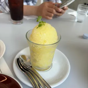 바우트 사진