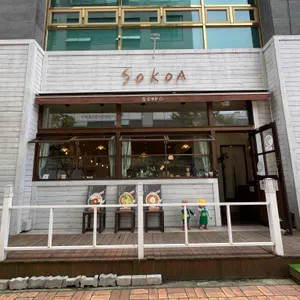 소코아 리뷰 사진