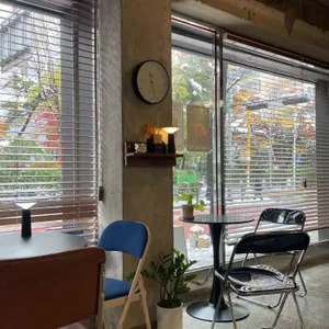 모트모스 리뷰 사진