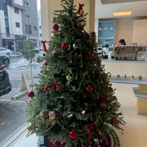 세가지 사진 2