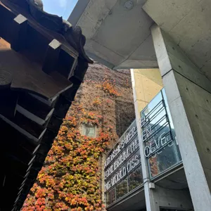 프릳츠 리뷰 사진