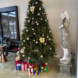 다보스 스텔라 리뷰 사진