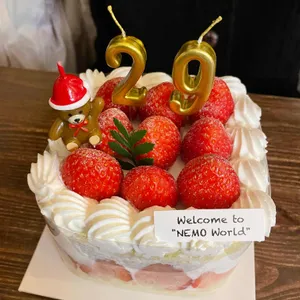 네모네 사진