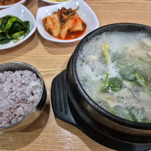 바다와육지 사진