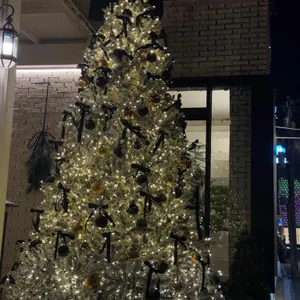 빠니드 엠 무니 리뷰 사진