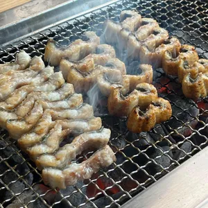 장어랑 사진