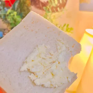 베르벨 사진
