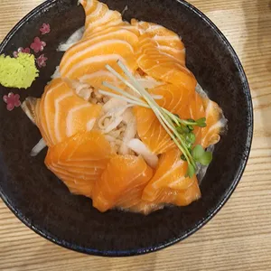 홍대개미 사진