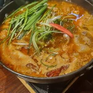 이자카야나무 사진