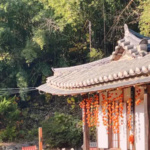 서지초가뜰 리뷰 사진
