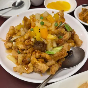 시옌 사진