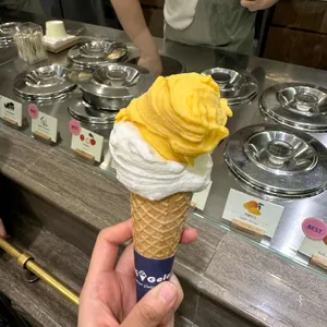 젤라띠젤라띠 사진