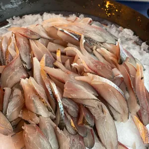 오징어데이 사진