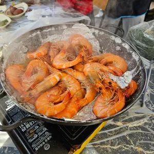 둘리왕새우 사진