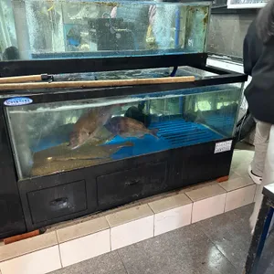 독도야 사진 2