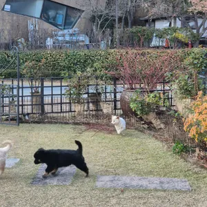 딜라의정원 리뷰 사진