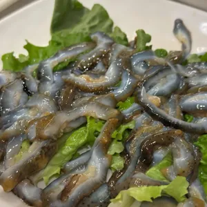 백김치 새싹막회 사진