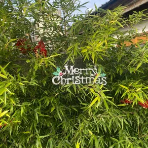 앤투잋시즌 리뷰 사진