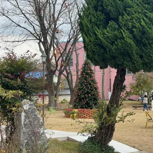 꽁트드페 리뷰 사진