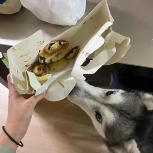 최영화빵 사진