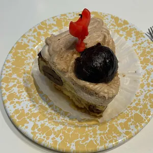 오고르 사진