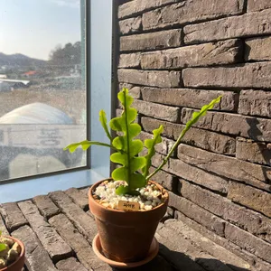 ufo304 리뷰 사진