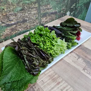 성안쌈밥 사진