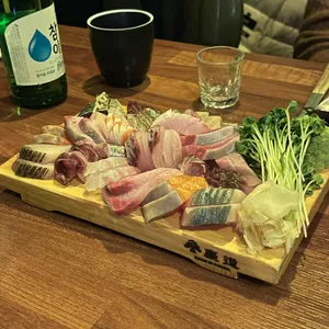 상어 사진