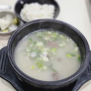 육향 사진