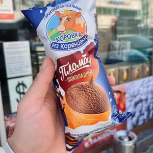 차이하나 사진