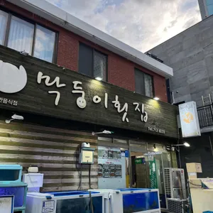 막둥이횟집 리뷰 사진