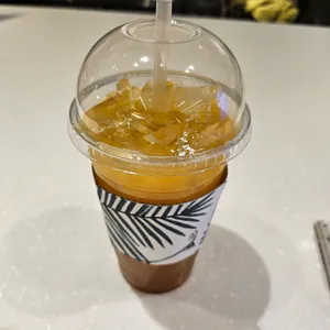 모히또바인오션 사진