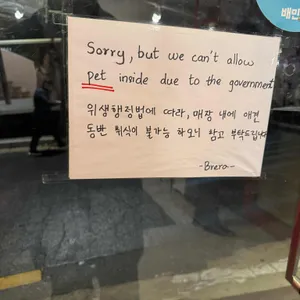 브레라 리뷰 사진