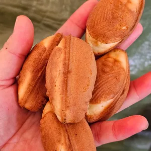 만쥬리아 사진