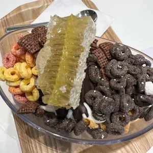 요거트아이스크림의 정석 사진
