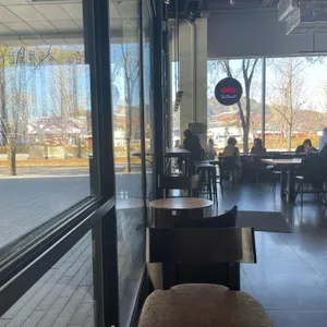 폴 바셋 사진 1
