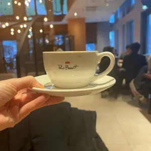 폴바셋 사진
