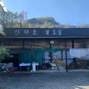 나린띄움 리뷰 사진