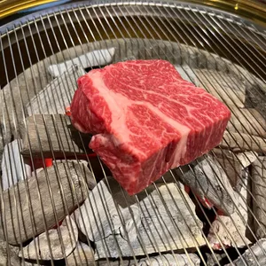 영포화로 사진