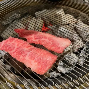 영포화로 사진