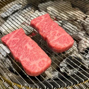 영포화로 사진