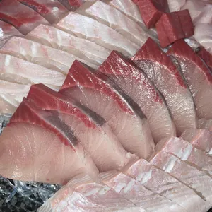 대광어회집 사진