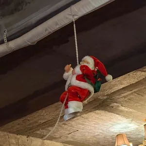 백스트리트피자 리뷰 사진