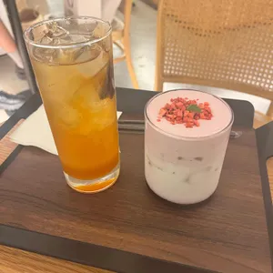 포레스트 사진