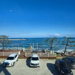 할리스 리뷰 사진
