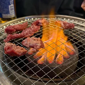 뚱단지 사진