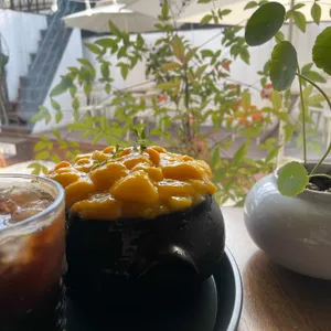 비화 사진