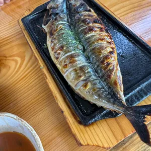 뜰안에 사진