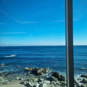 보움 리뷰 사진